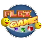 Flex Game game cover
